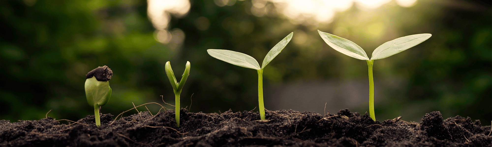 Renewed mindset and fresh aspirations