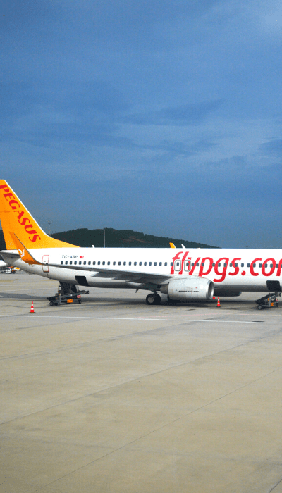 GOOSE Recruitment partners with Pegasus Airlines 