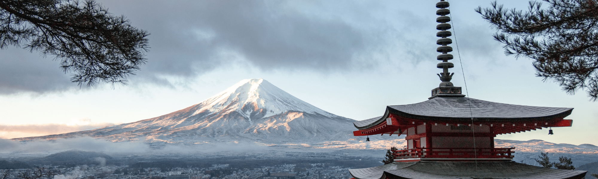 A Pilot's Guide to Living and Working in Japan